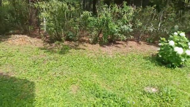 Провели интернет в СНт Вашаны 91 Тульская область, Заокский район. смотреть онлайн