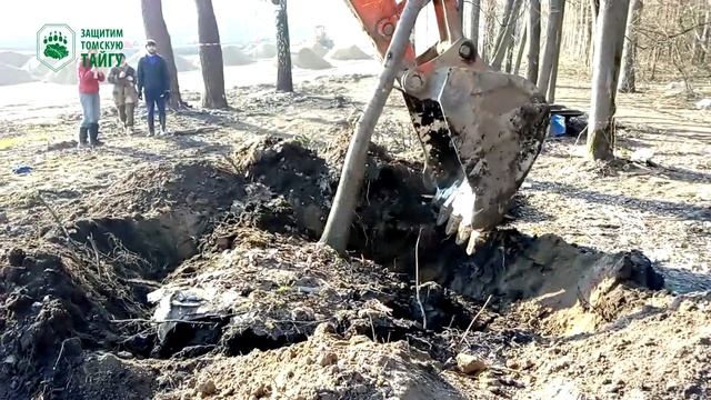 Липа смотреть онлайн