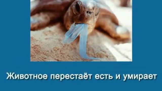 ЗЕМЛЯ ЗАДЫХАЕТСЯ ОТ МУСОРА смотреть онлайн