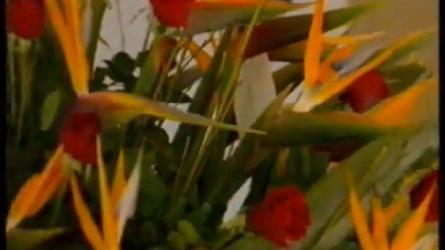 ΠΡΩΙΝΗ ΕΝΗΜΕΡΩΣΗ 06/02/1996 Μέρος 4 смотреть онлайн