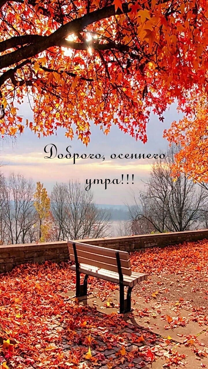 С Добрым Утром! Просыпайся, Улыбайся! Музыкальная Открытка смотреть онлайн