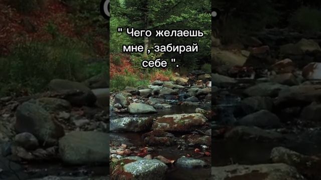 ЧТОБЫ НАКАЗАТЬ ОБИДЧИКА...#shorts #заговоры #обряды #обереги смотреть онлайн