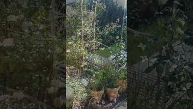 Mein Garten im Mai смотреть онлайн