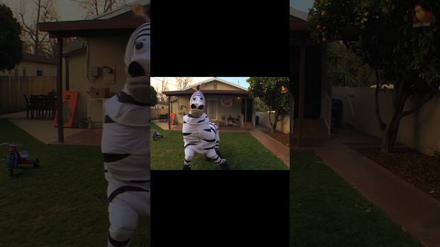 zebra English Vocabulary смотреть онлайн