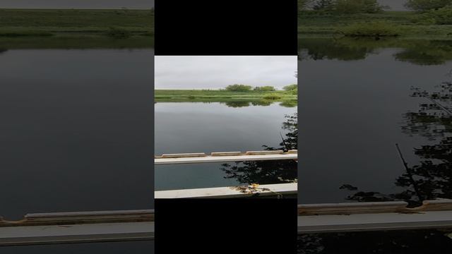 рыбалка смотреть онлайн