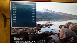 обзор телевизор NOVEX 43F149MSG новэкс (витязь VITYAZ)/ регулировка громкости/ настройка