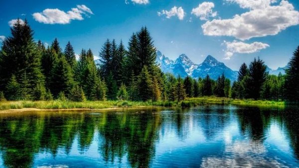 Lehre uns Mitleid haben..