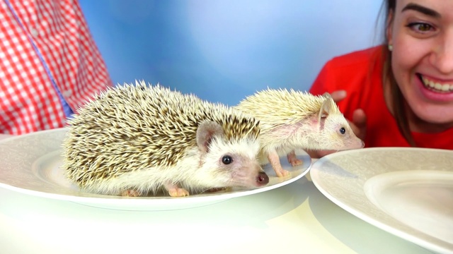 Обычная Еда против Мармелада! Челлендж! смотреть онлайн