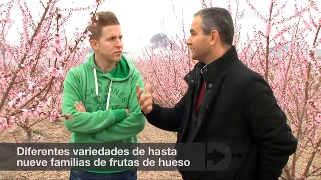 El fenómeno de la Floración смотреть онлайн