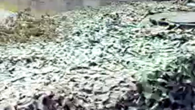 Война 08.08.08. Охранение Рокского тоннеля: 693-й мсп смотреть онлайн