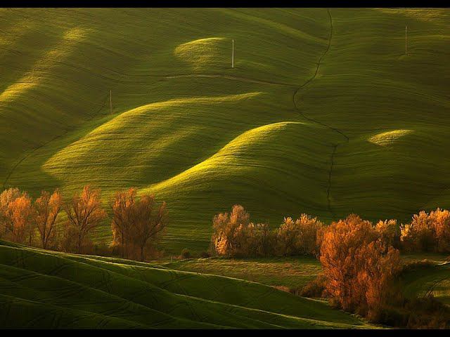 Просто разговоры о "просто" смотреть онлайн