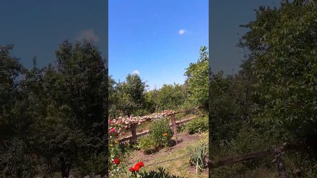 Моя маленькая дача смотреть онлайн