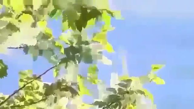 Фәрит Нургалиев Елама син балам мин киткәч тә смотреть онлайн