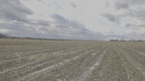 ЗЕРКАЛЬНЫЙ СКРАДОК ДЛЯ ОХОТЫ НА ГУСЯ. КАК РАБОТАЕТ В КУКУРУЗЕ. ЗЕРКАЛЬНЫЙ СКРАДОК СВОИМИ РУКАМИ.