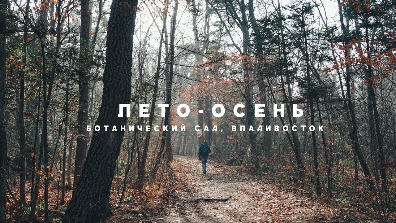 ЛЕТО-ОСЕНЬ 25 ТЕПЛА В НОЯБРЕ! БОТАНИЧЕСКИЙ САД, ВЛАДИВОСТОК смотреть онлайн