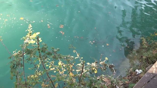 Manavgat Şelalesi Водопад в Манавгате с Артемом из Германии смотреть онлайн