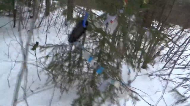 [BUSY DAY] /МОИ СТАРЫЕ ЗАМЕТКИ /АНОМАЛИИ В ЛЕСУ /ГОВОРЮ С ПТИЦАМИ /КАЧАЕМ БАЗУКИ смотреть онлайн