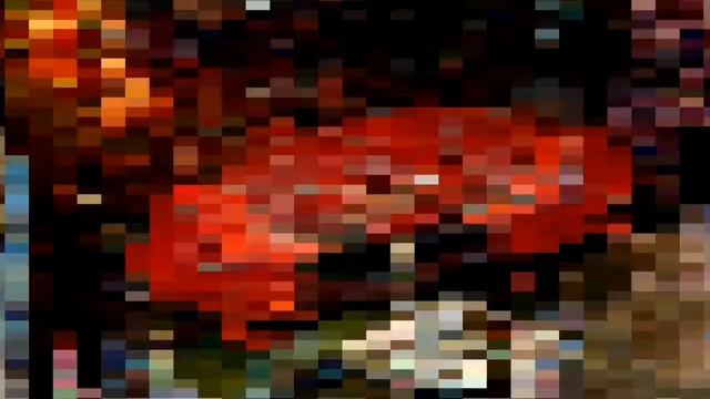 Осенние ночи. Туламбен. Амед. Бали. смотреть онлайн