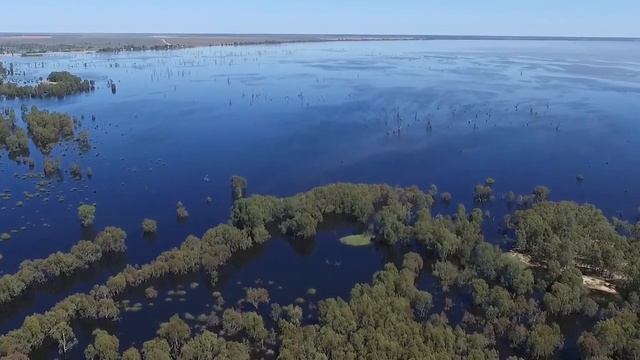 География 7кл. §28 "Африка: путешествие (2)" смотреть онлайн