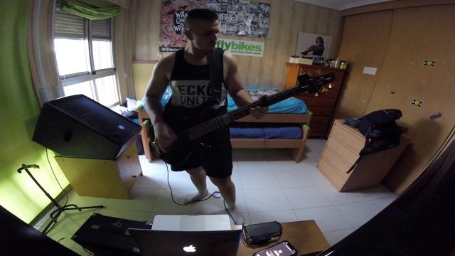 Iron Maiden The Number of the Beast bass Cover Chemone© смотреть онлайн