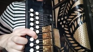 Ах ночь, голубая ночь, на гармони, разбор