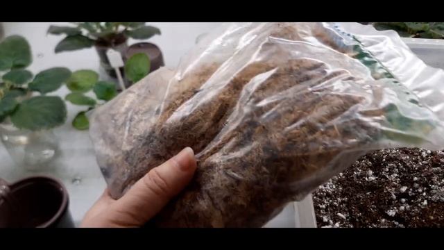 Идеальный грунт для фиалок!Секрет успешного роста фиалки)) смотреть онлайн