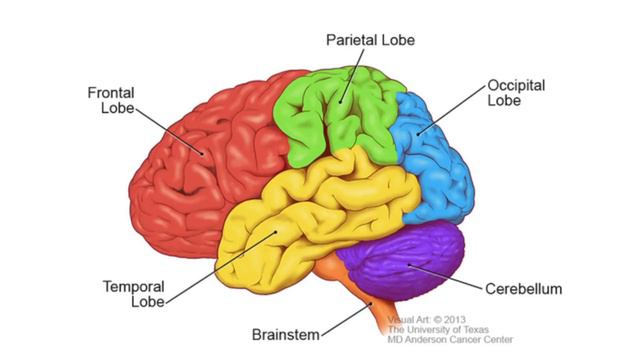 Q&A: Understanding glioblastoma смотреть онлайн
