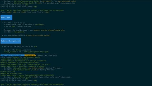 Symfony 4.3 / API Platform: automatic validation смотреть онлайн