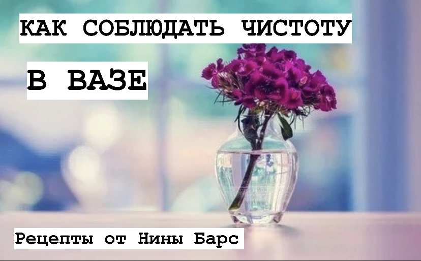 КАК СОБЛЮДАТЬ ЧИСТОТУ В ВАЗАХ