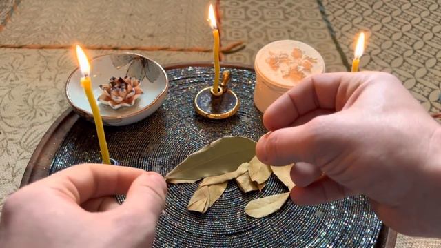 У вас есть Лавровый Лист?! Положите лавровый лист в Кошелёк! смотреть онлайн