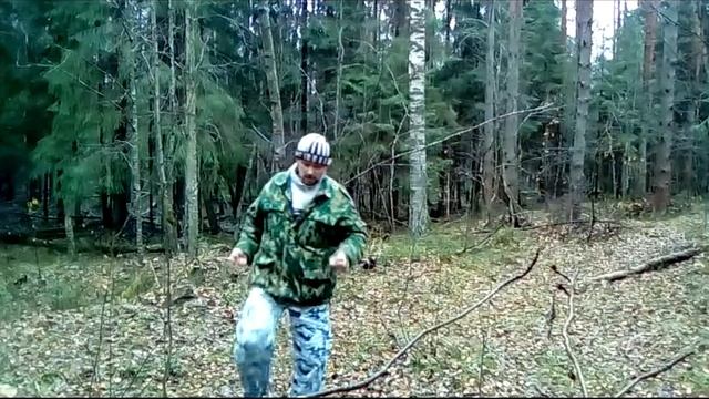 ЛЕСНОЕ ТАЙЦЗИ смотреть онлайн