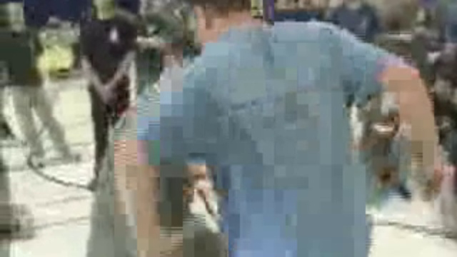 system vasilev смотреть онлайн