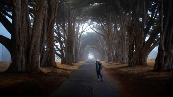 Mist - Deep Chill Music