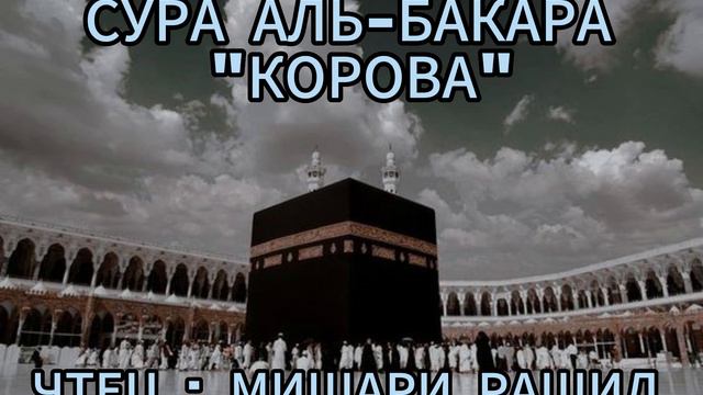 Сура Аль-Бакара (Корова) | Surah Al-Baqarah | Чтец Мишари Рашид | Quranrecitation | #ислам #коран
