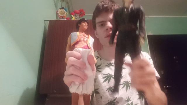 чем отличается  куклы у которых неснимается одежда