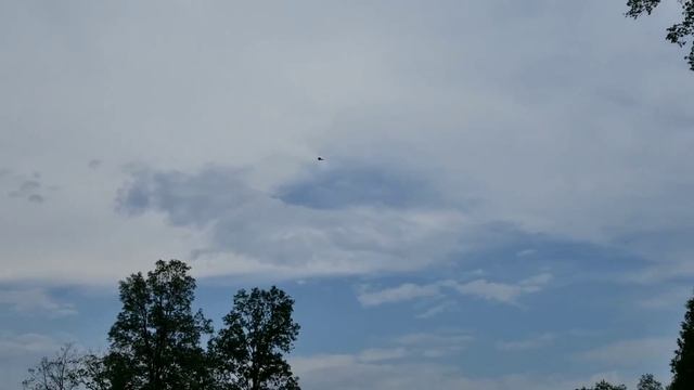 F-22 Raptor fly by смотреть онлайн