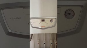 Газовый котёл. Immergas Eolo star 24, окончание работ по ТО, и промывке, запуск в работу.