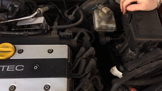 Kleine Durchsicht Meines Alten Opel Vectra B 1.8 16v