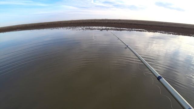 Ловлю карася в пересыхающей луже. Майбалык. Карась на поплавок. смотреть онлайн