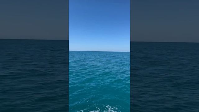 Архипо-Осиповка 21 мая 2024 года 🌤️ вид на море 🌊 с катамарана Барракуда 🦈 смотреть онлайн