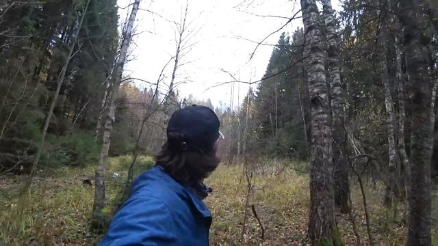 Как я Елочку в лес пересаживал смотреть онлайн