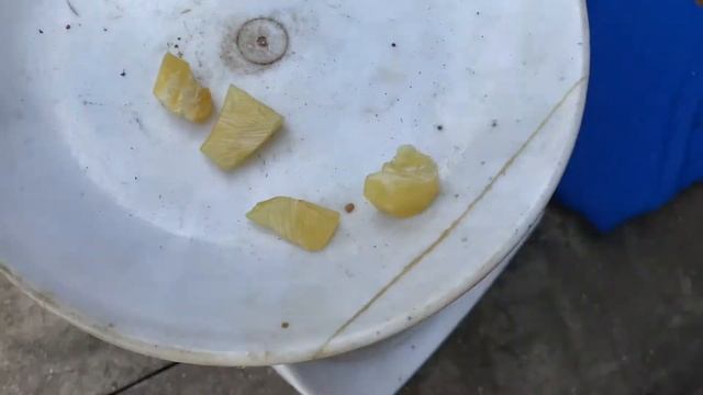 Очистка Янтаря. Amber Cleaning. смотреть онлайн