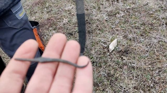 Хороший Коп по Скифам и Орде коп с XP смотреть онлайн