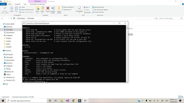 Cómo Compartir Tu Aplicación Web (LOCALHOST) a INTERNET. ? Ngrok (2020) смотреть онлайн