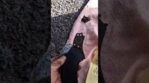 что скрипит в колодках и надо или нет мазать смазкой(противоскрипные пластины)?