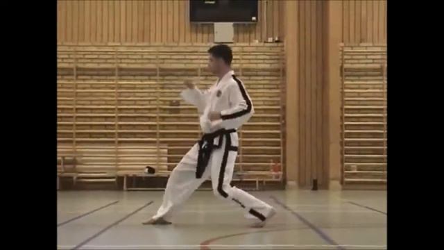 Chon-Ji Tul-Taekwondo Techniques