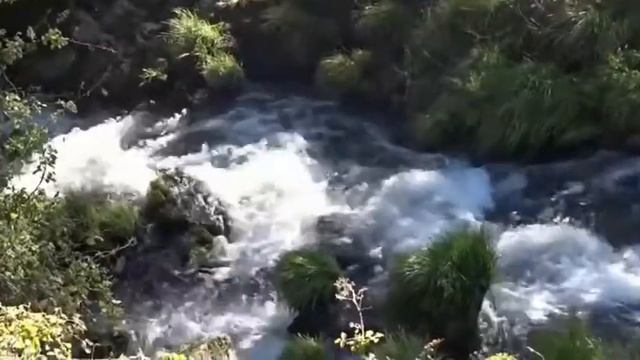 Negra sombra Rosalia de Castro musicalizada por Miguel Ángel Casares López смотреть онлайн
