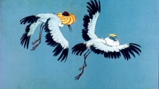 Халиф   аист. Caliph Stork