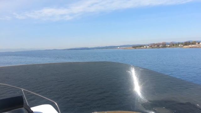 bayliner 2556 смотреть онлайн