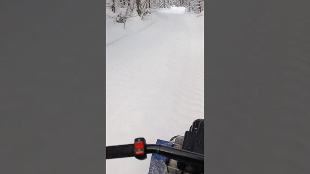 На мотобуксировщике Белка ? по лесной дороге смотреть онлайн